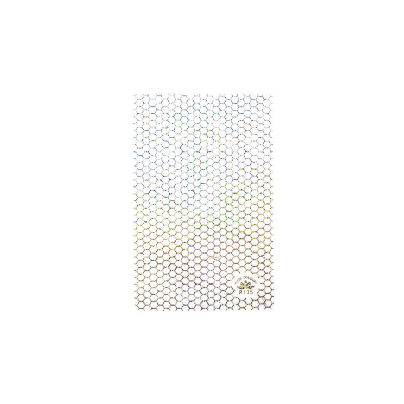 Slider Nr R135 HOLO