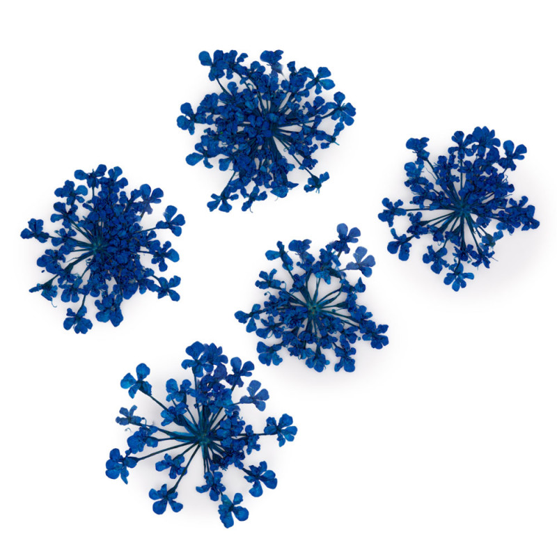 Dried flowers for nail art MollyLac - Royal Blue - 5 pcs