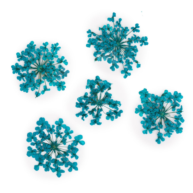 Dried flowers for nail art MollyLac - Turquise - 5 pcs
