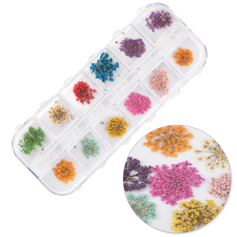 Kuivatatud lilled küünte jaoks – Molly Nails Tüüp A – 24 tk