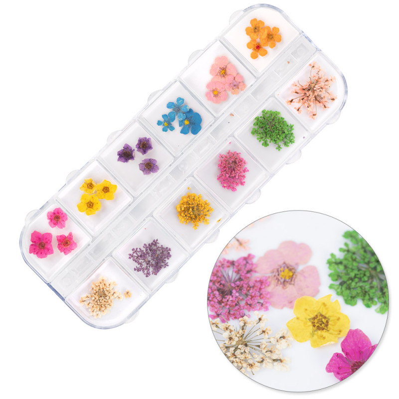 Сухоцветы для украшения ногтей – Molly Nails Тип B – 36 шт