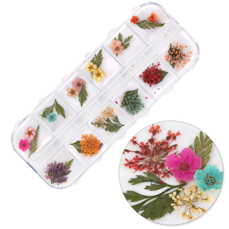 Kuivatatud lilled küünte jaoks – Molly Nails Tüüp E – 36 tk
