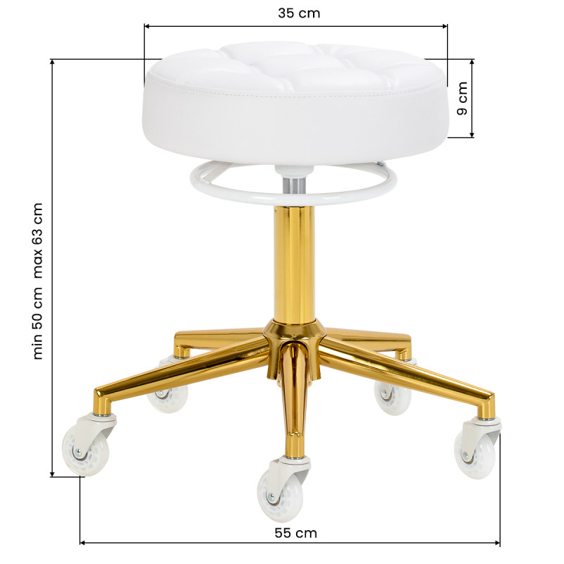 The Gabbiano D054G hairdressing stool gold white