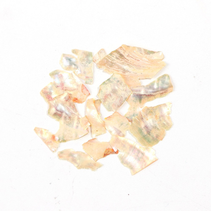 Shells for nails No.2, 2g